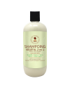 Shampoing Végétal 2 en 1 Gombo & Aloe Vera